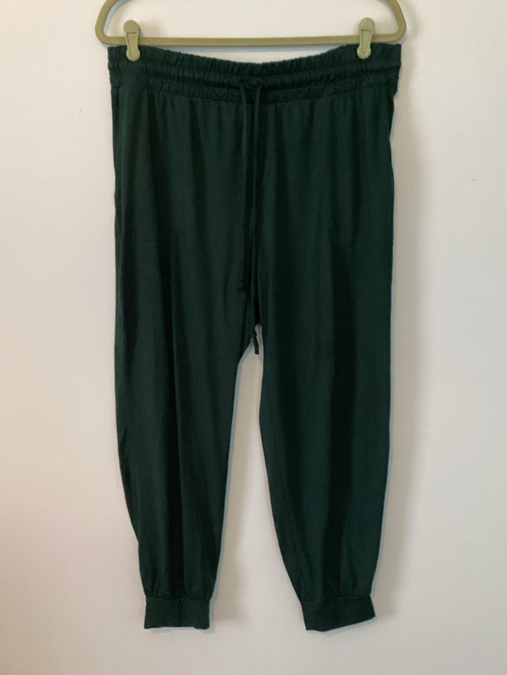 AnyBody Dark Green Women's Jogger Pants 🪁